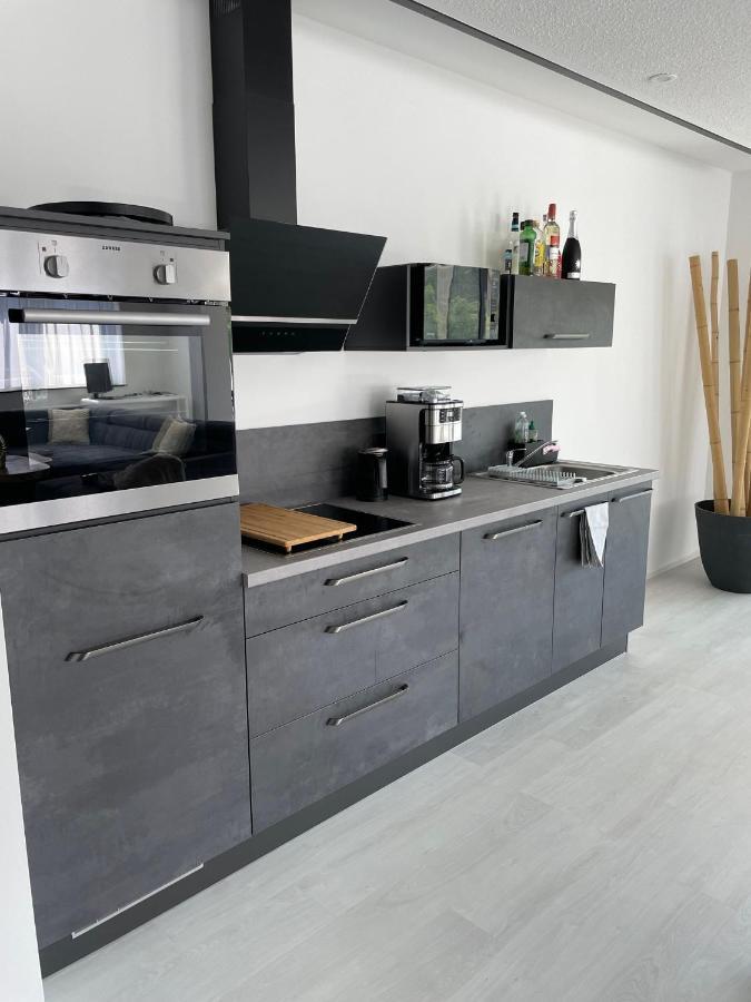 Apartments Saaldorf-Ferienhaus Mit 6 Apartments 45Qm-120Qm Direkt Am Thueringer Meer-Bleilochtalsperre Bad Lobenstein Dış mekan fotoğraf