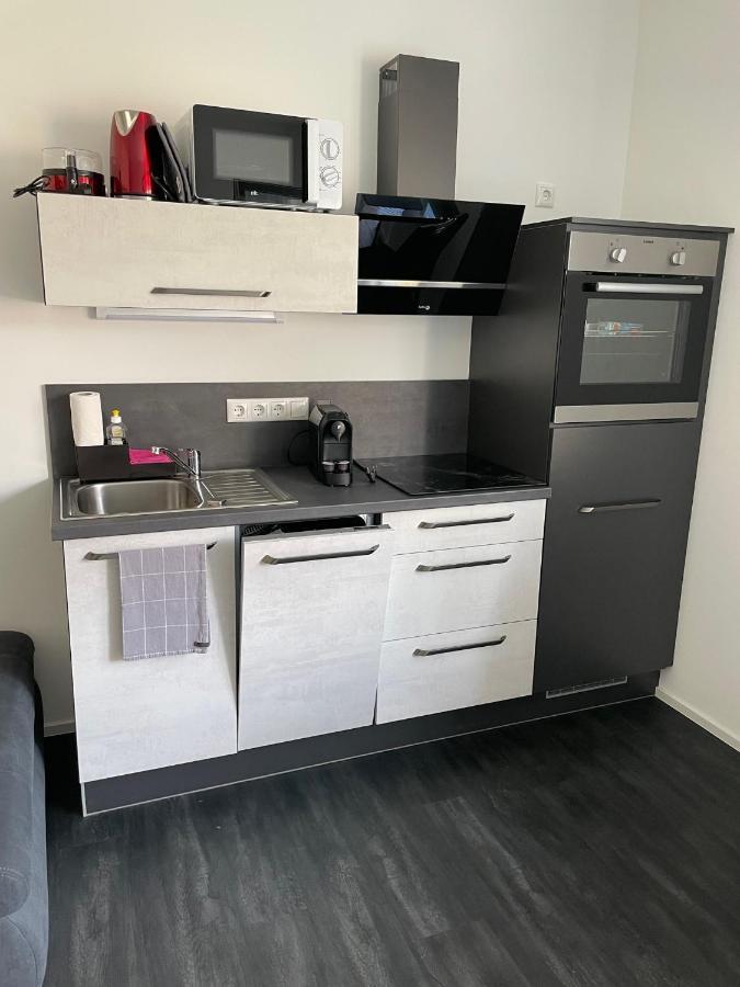 Apartments Saaldorf-Ferienhaus Mit 6 Apartments 45Qm-120Qm Direkt Am Thueringer Meer-Bleilochtalsperre Bad Lobenstein Dış mekan fotoğraf