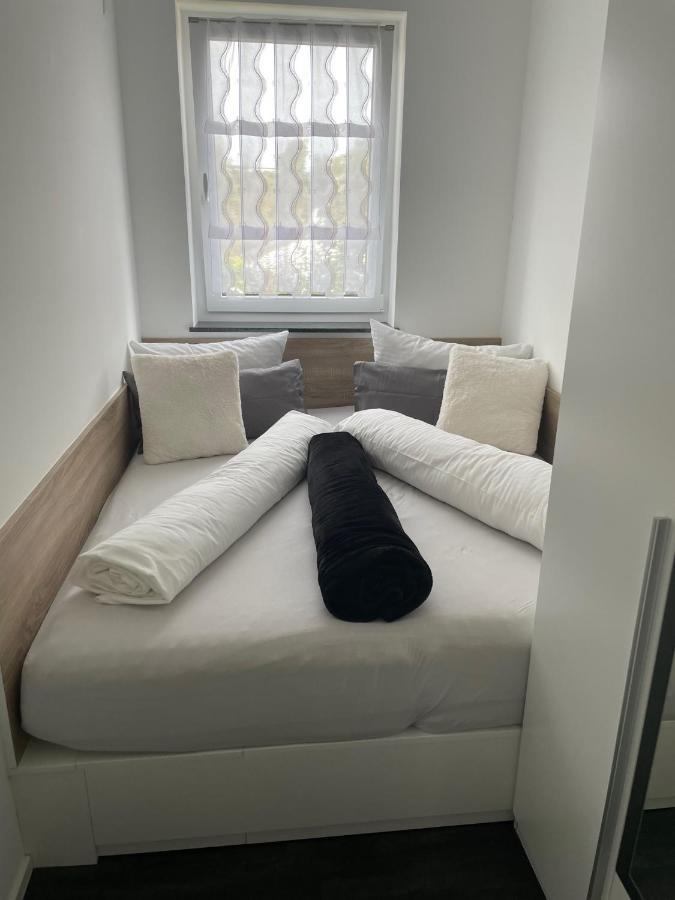 Apartments Saaldorf-Ferienhaus Mit 6 Apartments 45Qm-120Qm Direkt Am Thueringer Meer-Bleilochtalsperre Bad Lobenstein Dış mekan fotoğraf